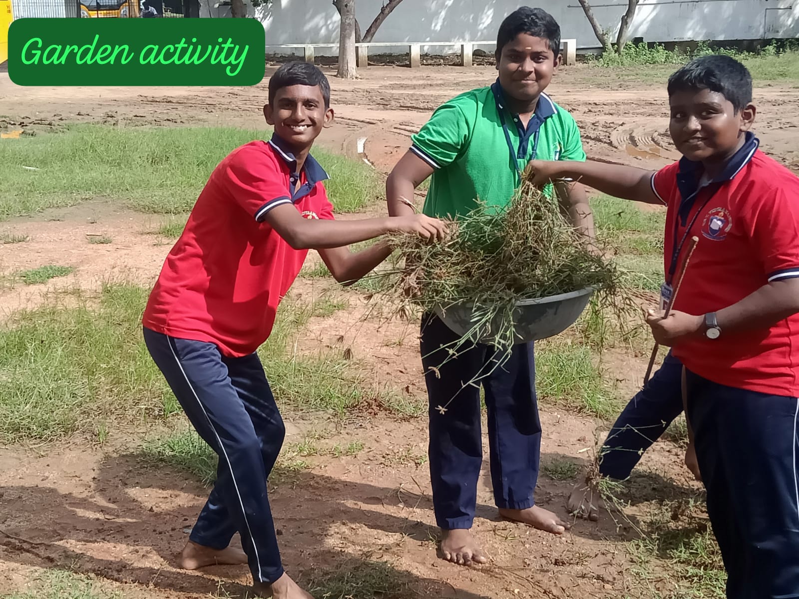 SCIENCE CLUB - GROWTH ACTIVITIES