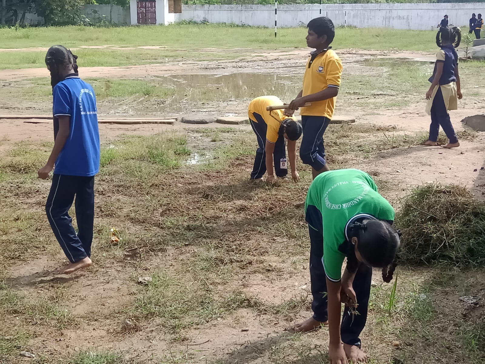 SCIENCE CLUB - GROWTH ACTIVITIES